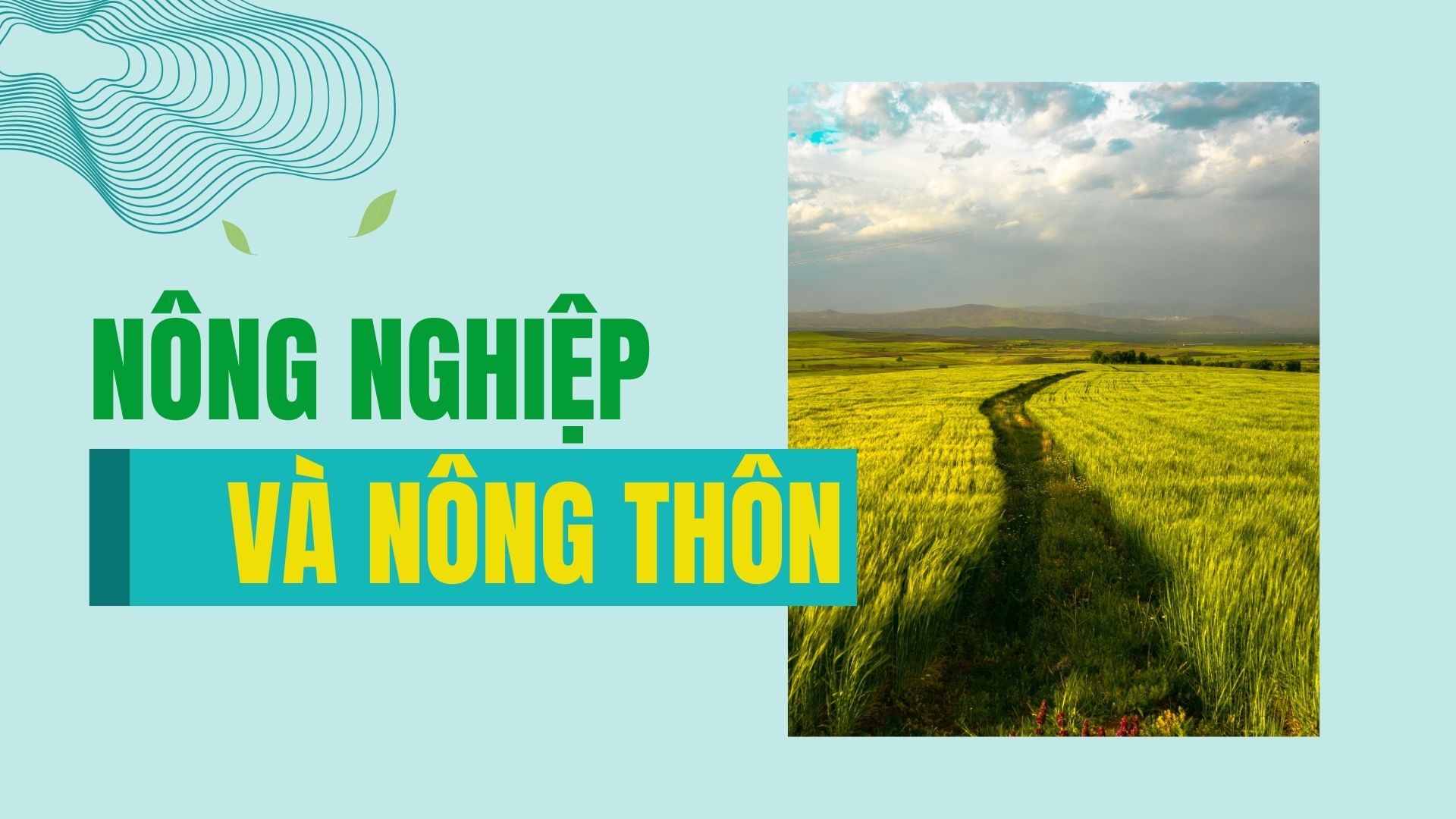 Nông nghiệp và nông thôn | Ngày 29/11/2024